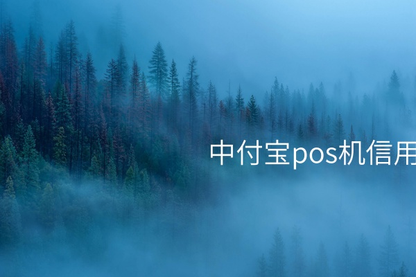 介绍中付宝信用卡POS机