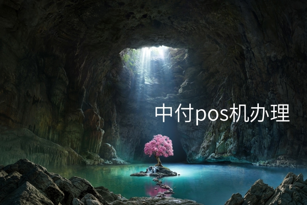 办理中付pos机：一步一步办理成功