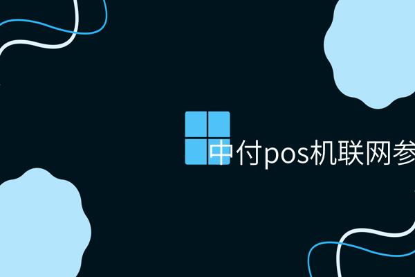 中付POS机联网参数介绍