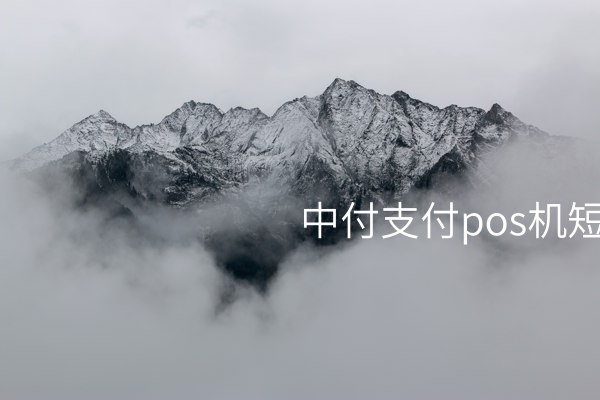 简介中付支付pos机