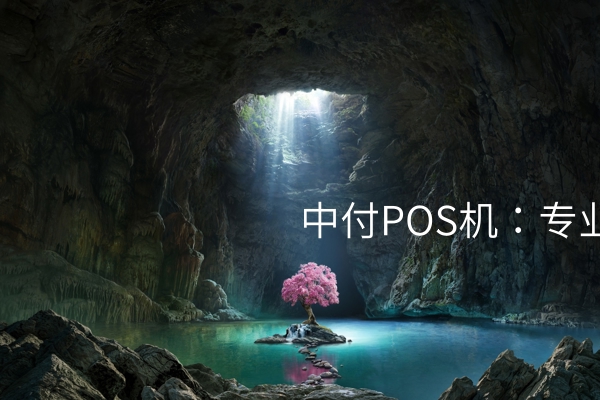 中付POS机：专业的收尾解决方案